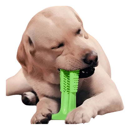 Mordedor Limpiador de Dientes para Perros